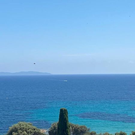 Nice And Bright 60 M With Terrace View On The Sea Ajaccio  Luaran gambar