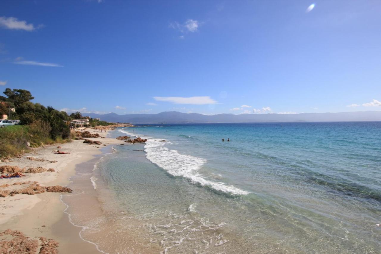 Nice And Bright 60 M With Terrace View On The Sea Ajaccio  Luaran gambar